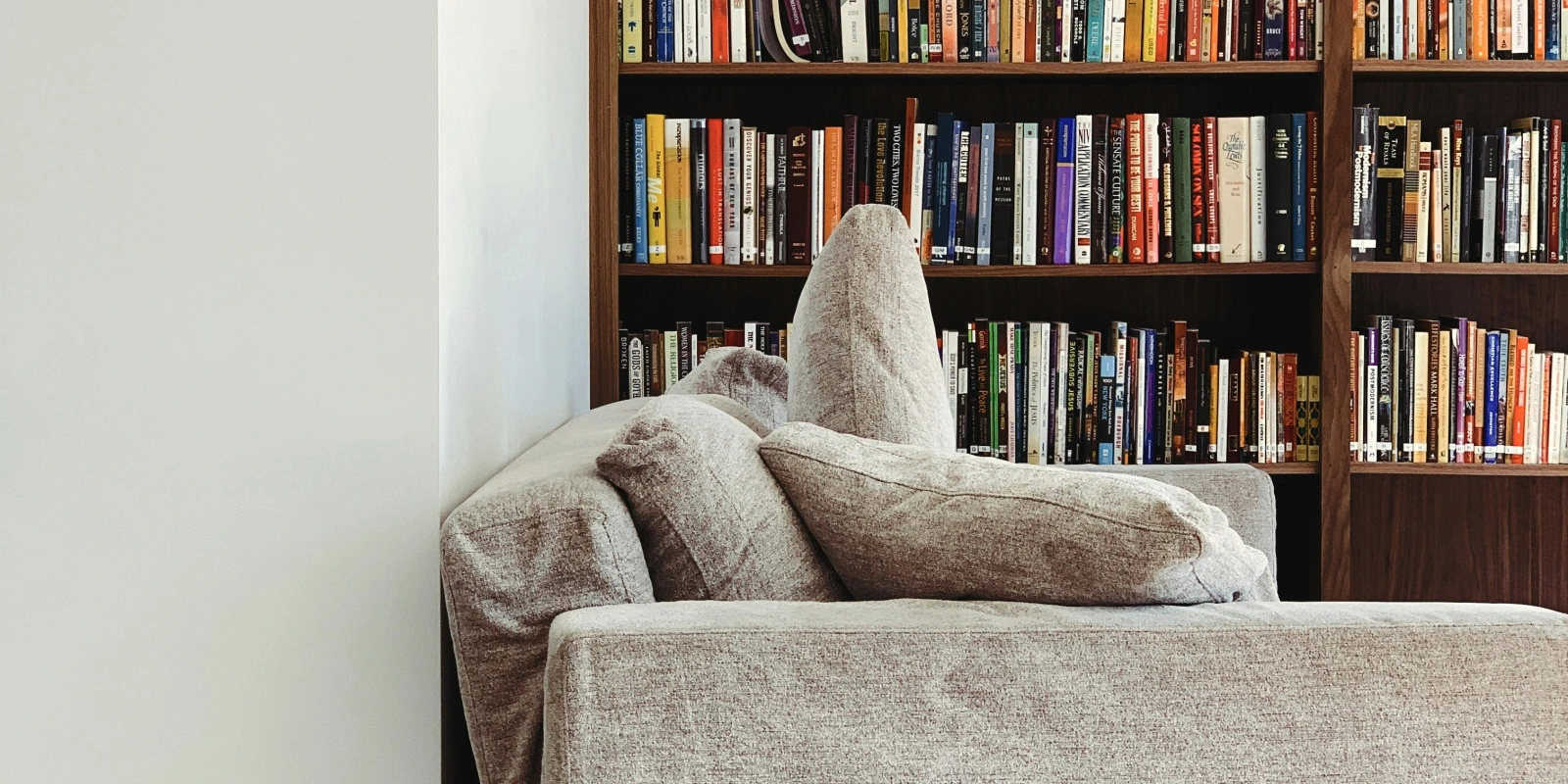 Double Licence Économie-Gestion et MIASHS : Le Guide