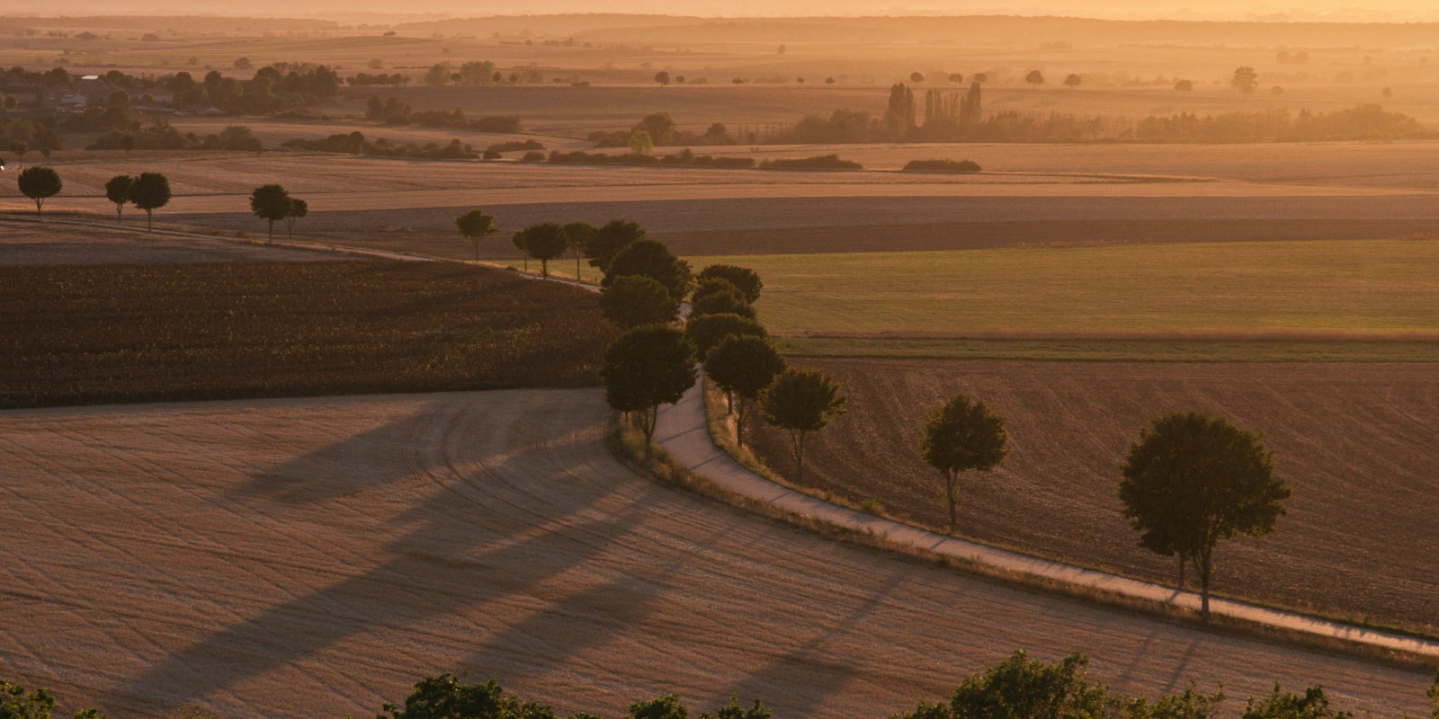 École d'Ingénieur Après une Licence MIASHS : Est-ce Possible ?