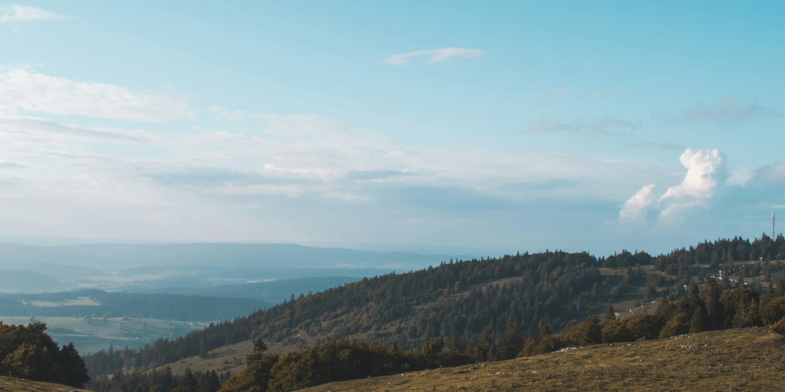 La Licence MIASHS à l'Université Versailles La Licence MIASHS à l'Université Versailles
