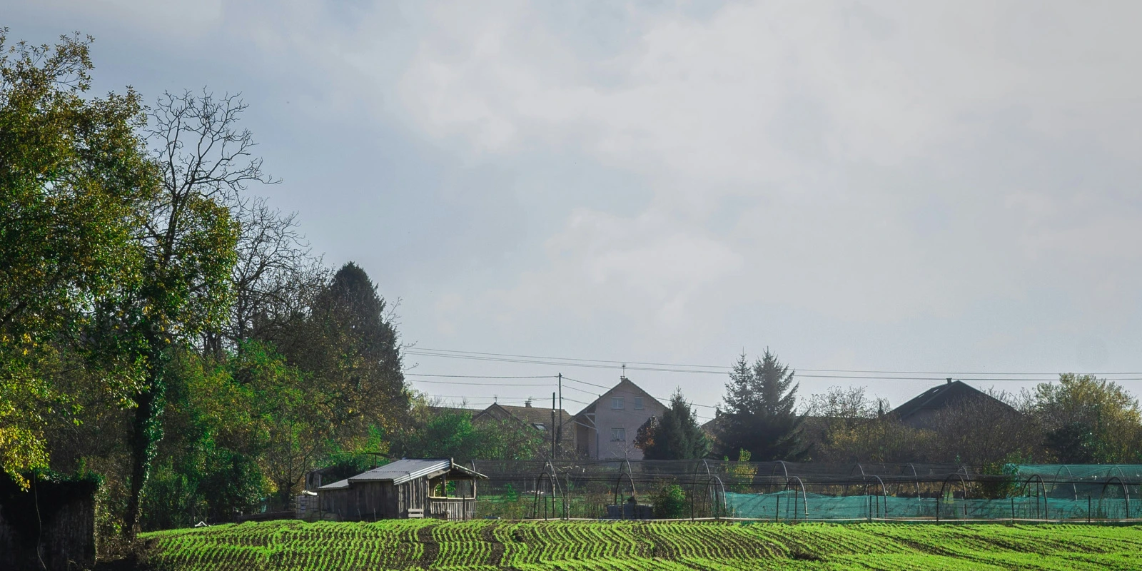 Les Débouchés de la Licence MIASHS à Bordeaux