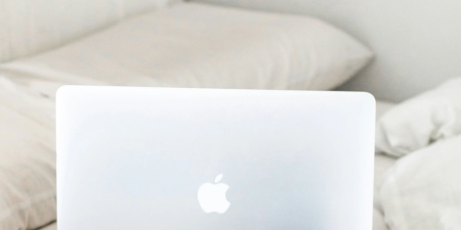 Les Débouchés de la Licence MIASHS : Retour d'Expérience