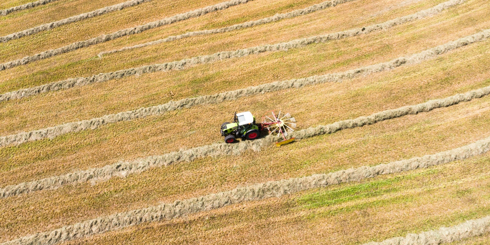 Les Sciences Humaines en Licence MIASHS