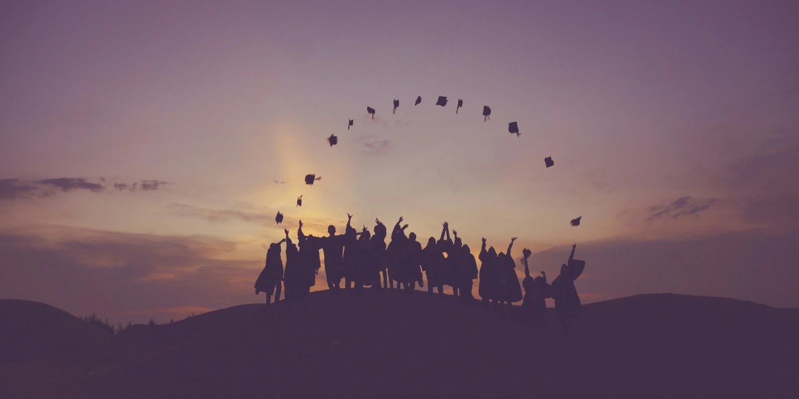 Les Sciences Sociales et la Licence MIASHS Les Sciences Sociales et la Licence MIASHS