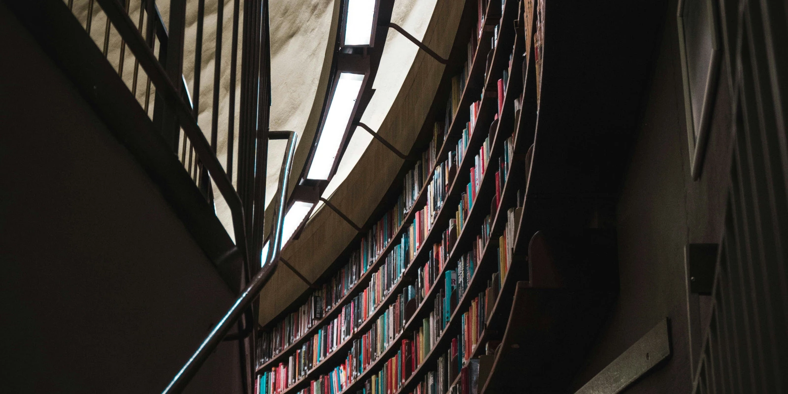 Licence MIASHS à Nanterre : Témoignages et Programme