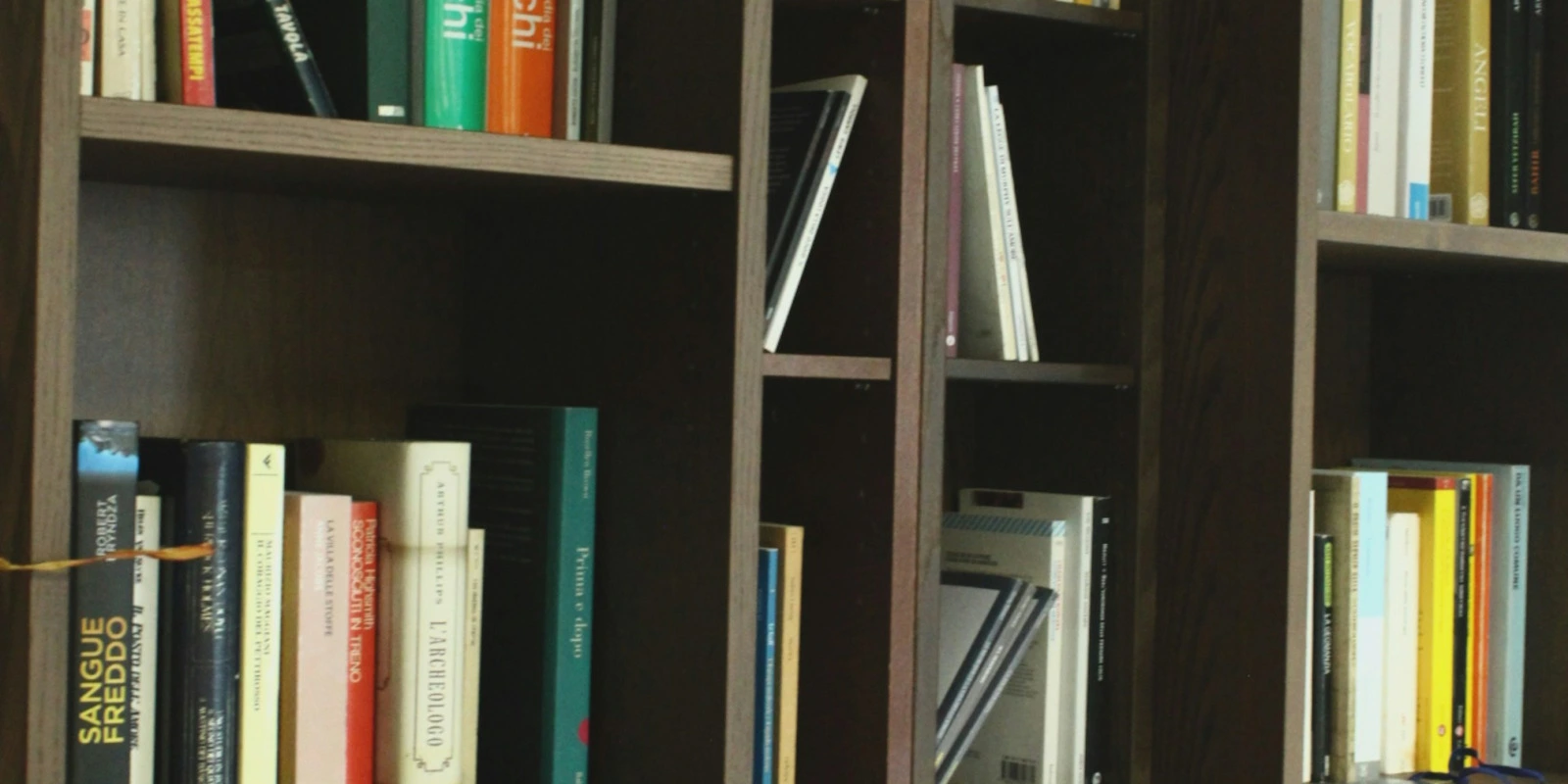 Licence MIASHS et École d'Ingénieur : Un Parcours Possible